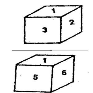 Dice and Cubes Practice Questions