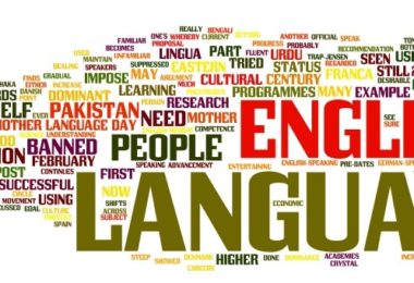 80+ Best English Action Verbs You should put on Your Resume