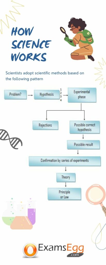 how does science works