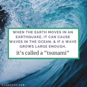 tsunami facts