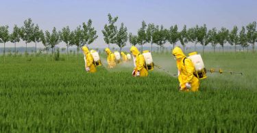 quiz on pesticides