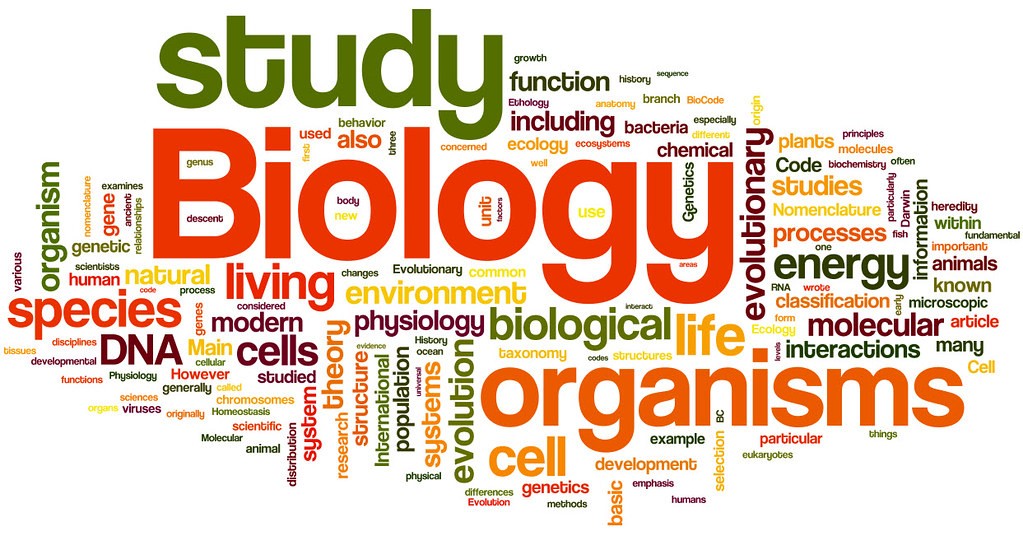 MCQ on Animal Tissues Structure and Functions - 45 questions