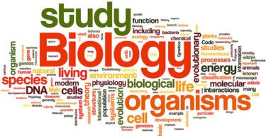 quiz on Meiosis