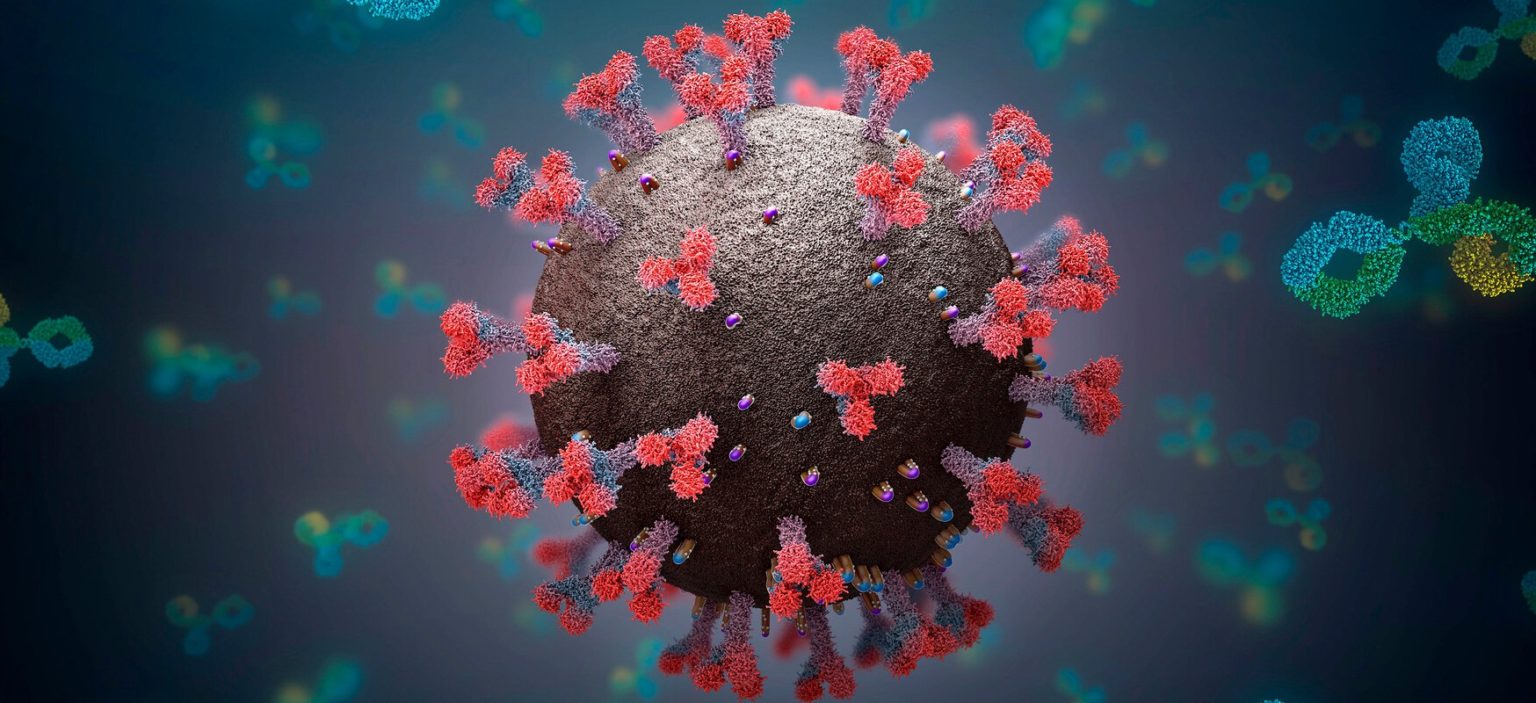 Immune System MCQs with Answers Biology immune system Quiz