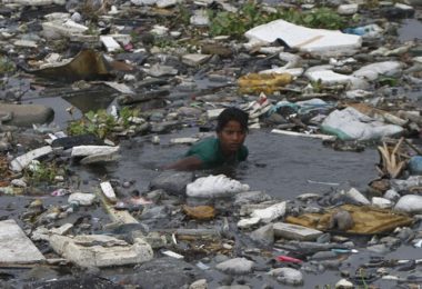 water pollution mcq