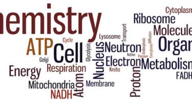 Optical Isomerism chemistry