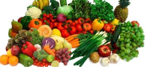 Animal Nutrition question bank - 30+ Nutrition in Animals questions