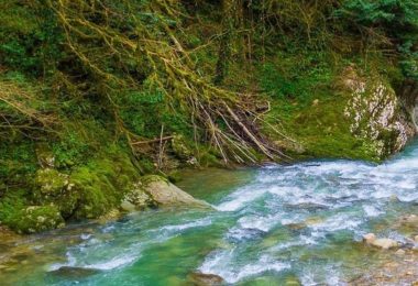 river quiz