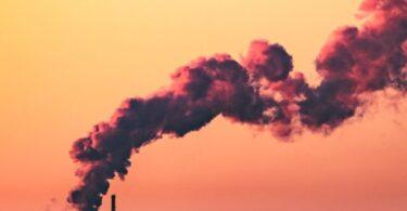 effects of pollution