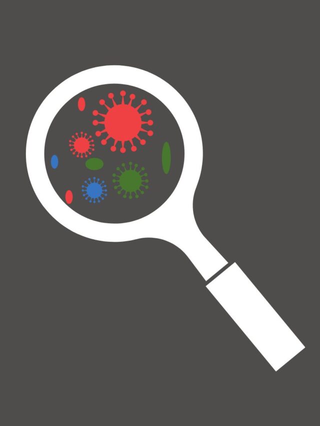 Enzymes – Definition, Examples, Function visual data 2