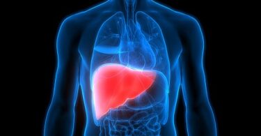 the liver quiz