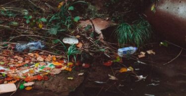 effects of water pollution