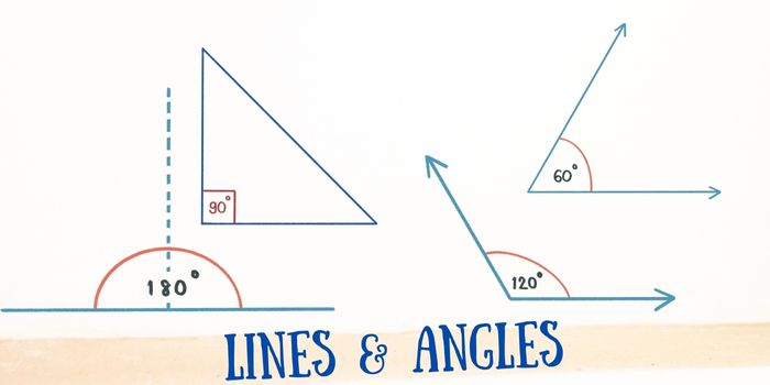 lines and angles quiz