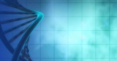 are enzymes protiens