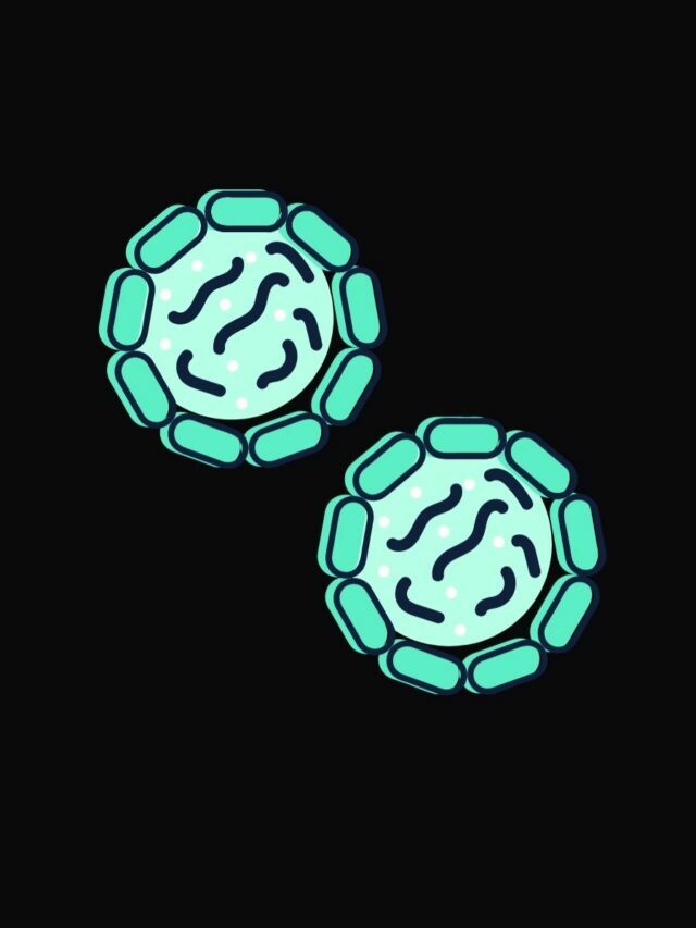 What is Mitosis?