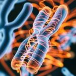 dna and rna quiz