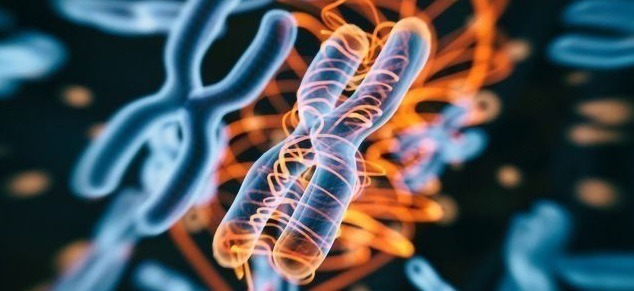 dna and rna quiz
