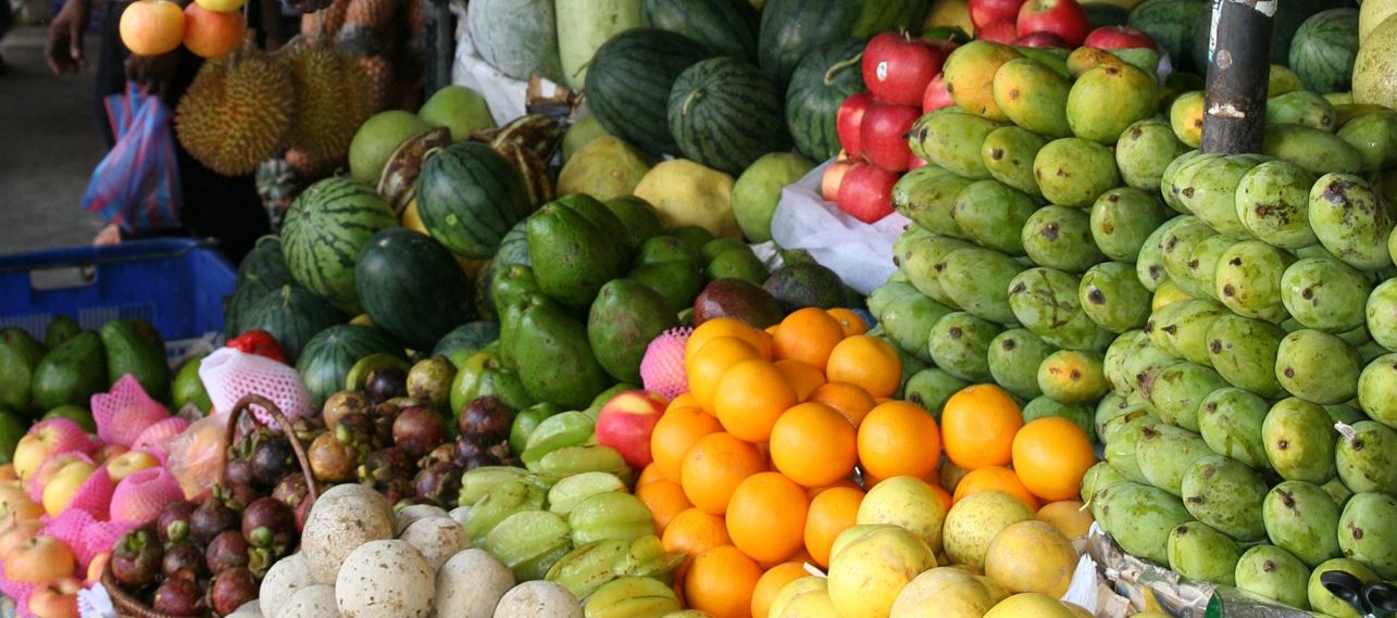 fruits trivia quiz