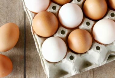 the eggs quiz