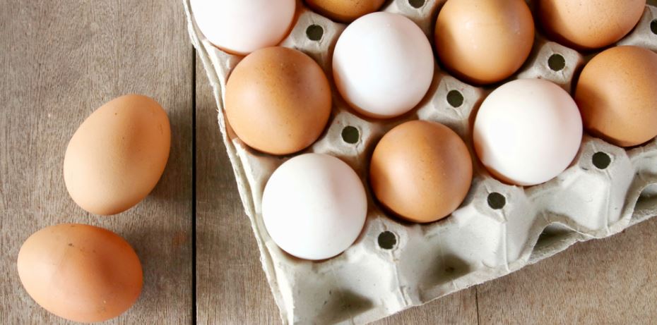 the eggs quiz