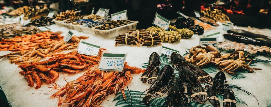 seafood quiz