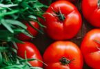 tomato trivia questions
