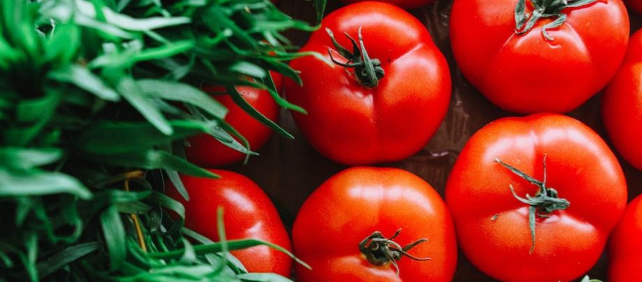 tomato trivia questions