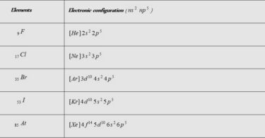 halogen family elements quiz