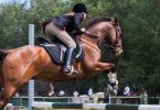 equestrian quiz