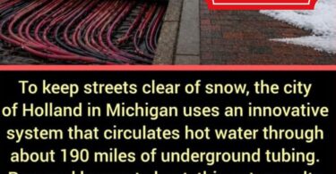 holland michigan snowmelt viral claim check